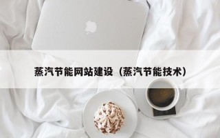 阿里蒸汽节能网站建设（蒸汽节能技术）